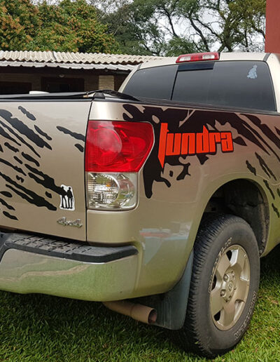 ploteado vinilo vehicular
